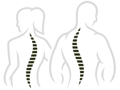 Chiropractic Redmond WA Spine Graphics Chiropractic Redmond WA Spine Graphics